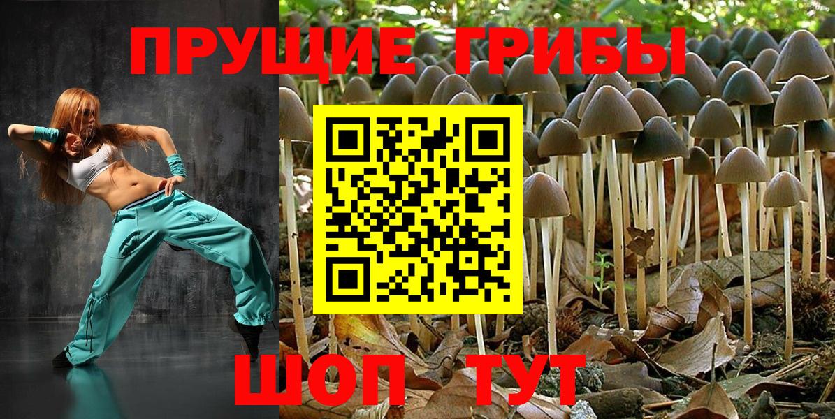 Псилоцибиновые грибы прущие грибы Жуковский