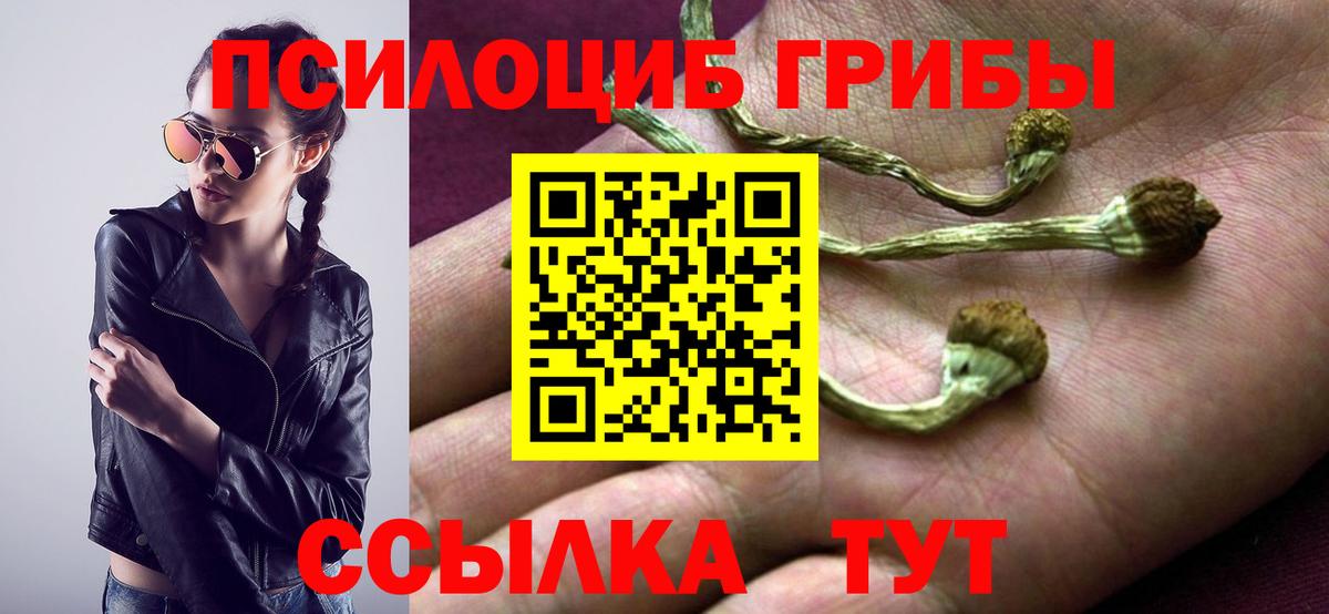 Жуковский  Псилоцибиновые грибы прущие грибы  где продают наркотики  Вход с VPN 